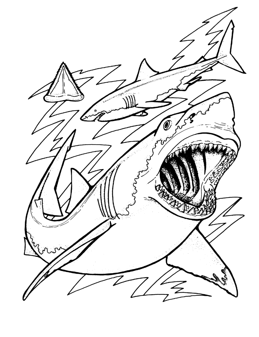 Dibujos de Tiburones ~ Vida Blogger