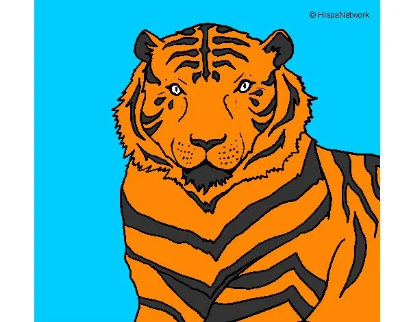 Dibujos de Tigres para Colorear - Dibujos.net