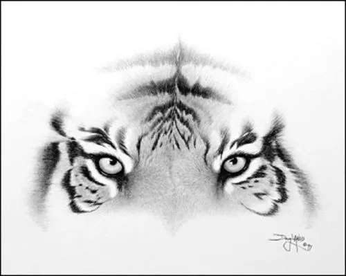Dibujos de tigre a lapiz - Imagui