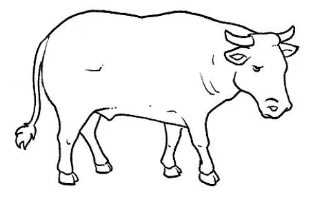 Dibujos de toros para colorear e imprimir - Imagui