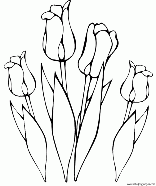 dibujo-flores-tulipanes-004 | Dibujos y juegos, para pintar y colorear