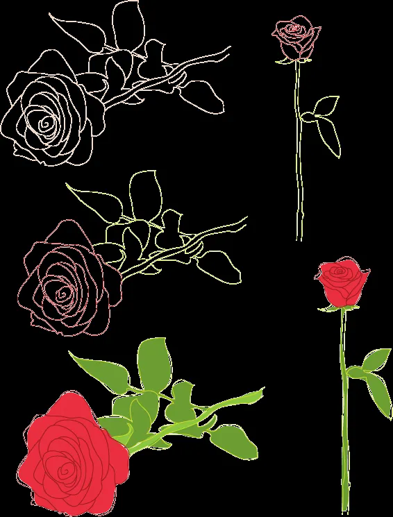 Dibujos vectoriales de rosas