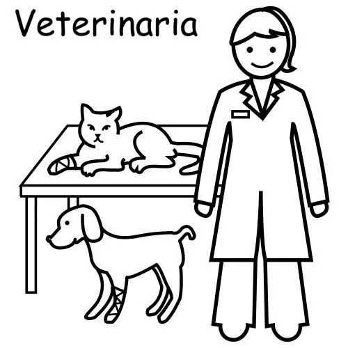 Imagenes de veterinarios en caricatura - Imagui