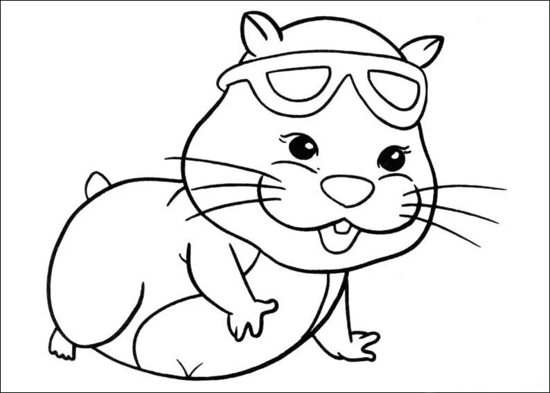 Imagenes de:un hamster para dibujar - Imagui