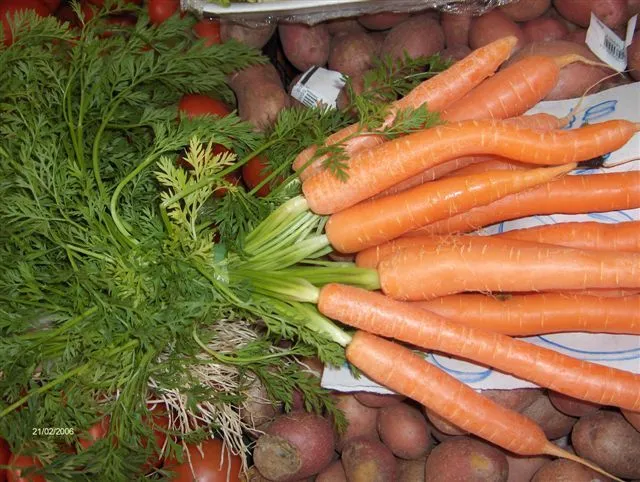 Diccionario gastronómico. Ficha de cocina de Zanahoria Chef Uri. Diccionario gastronómico. Ficha de cocina de Zanahoria Chef Uri.