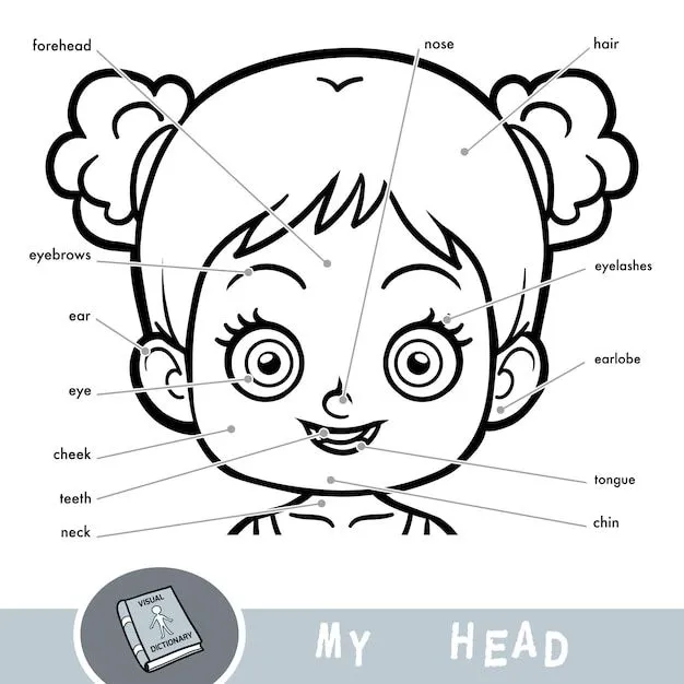 Diccionario visual de dibujos animados para niños sobre el cuerpo humano.  mi cabeza se parte por una chica. | Vector Premium