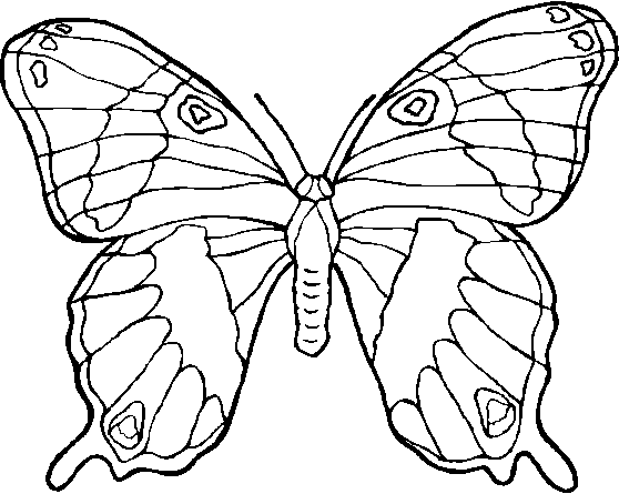 Dibujo de Mariposa para colorear