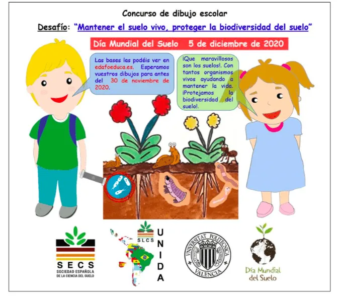 5 DICIEMBRE DÍA MUNDIAL DEL SUELO | Educación Ambiental y Sostenibilidad