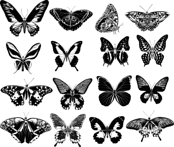 dieciséis mariposas negras — Vector stock © Dr.PAS #6649199