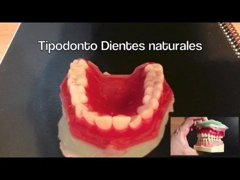 Como hacer dientes p1 | Youtube