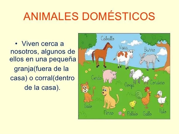 Diferencia entre animales domésticos y salvajes
