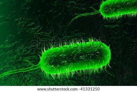 Digital Illustration Of Cholera Bacteria In Colour Background ...