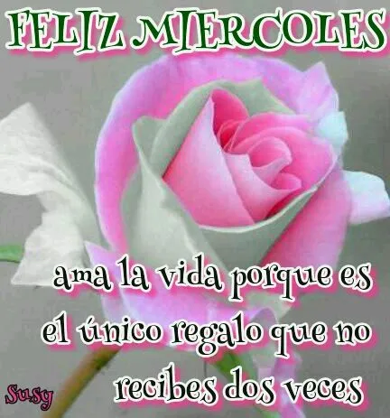 DILO CON FLORES Y TARJETAS: feliz miercoles DILO CON FLORES Y TARJETAS: feliz miercoles