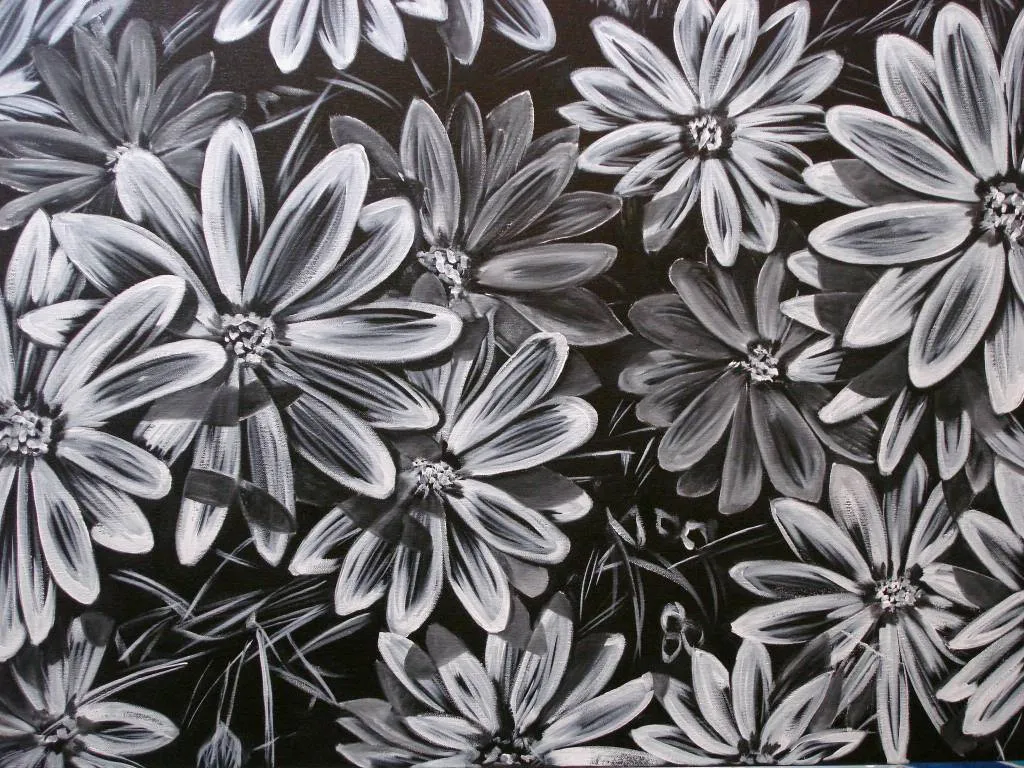 Dimorfotecas en blanco y negro Aura Castro A- Artelista.com Dimorfotecas en blanco y negro Aura Castro A- Artelista.com