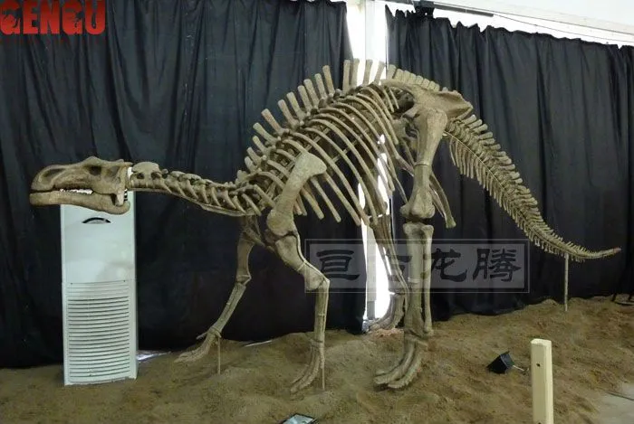 Dino museo esqueletos de dinosaurios en la pantalla-Otros ...