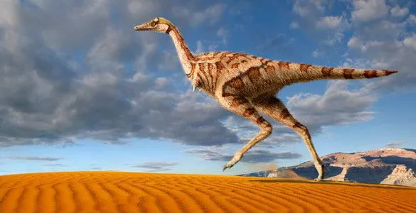 El primer dinosaurio del mundo con un solo dedo - RTVE. El primer dinosaurio del mundo con un solo dedo - RTVE.