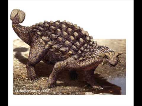 Dinosaurios Y Animales Prehistoricos - YouTube