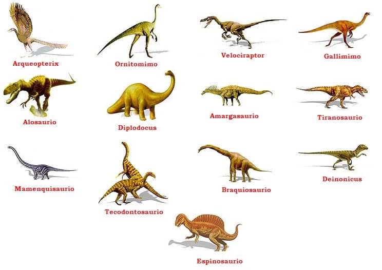 Tipos de Dinosaurios | Dinosaurios
