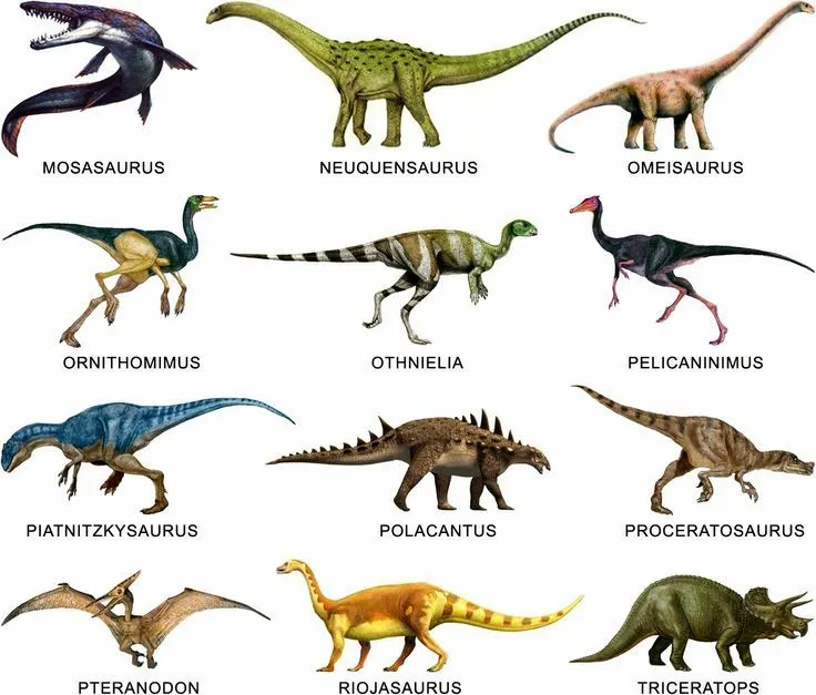 Dinosaurios - Saurios - Dino on Pinterest | Spinosaurus, Animales ...