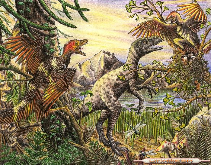 dinosaurios descubiertos hasta la fecha - Taringa! dinosaurios descubiertos hasta la fecha - Taringa!