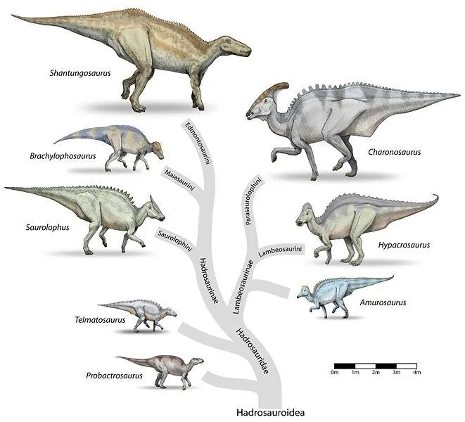 Imagenes de dinosaurios con nombres - Imagui