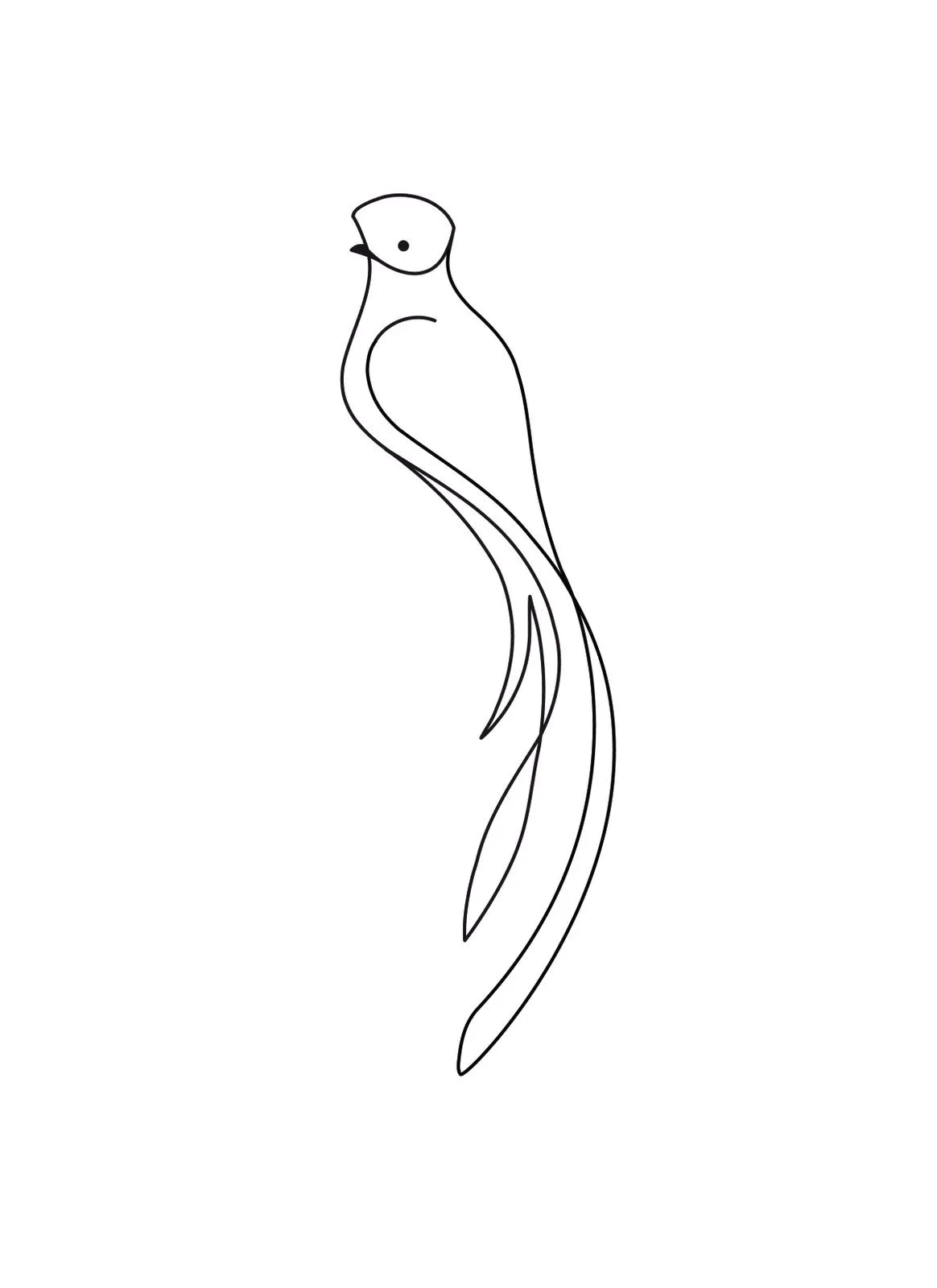 Diseño Grafico: Estilización de Quetzal