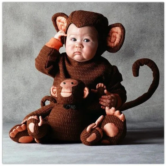 Disfraces para bebés de animales: originales gorilas, flamencos ...