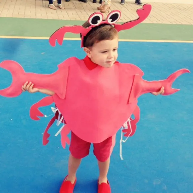 Disfraz cangrejo para niño - Imagui