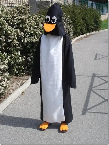 Cómo hacer un disfraz casero de pingüino con patrones - Nos ...