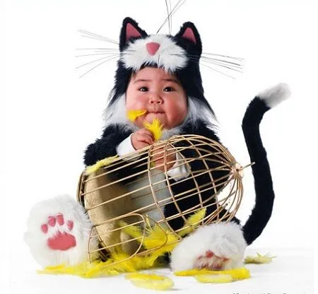 Disfraz gato bebé - Imagui