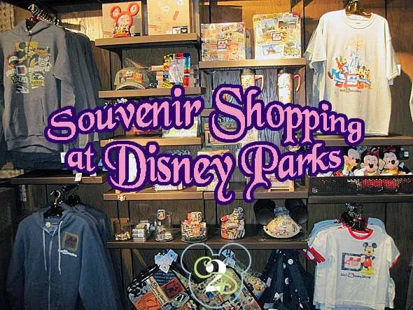 Disney Training: How Much Souvenirs Cost