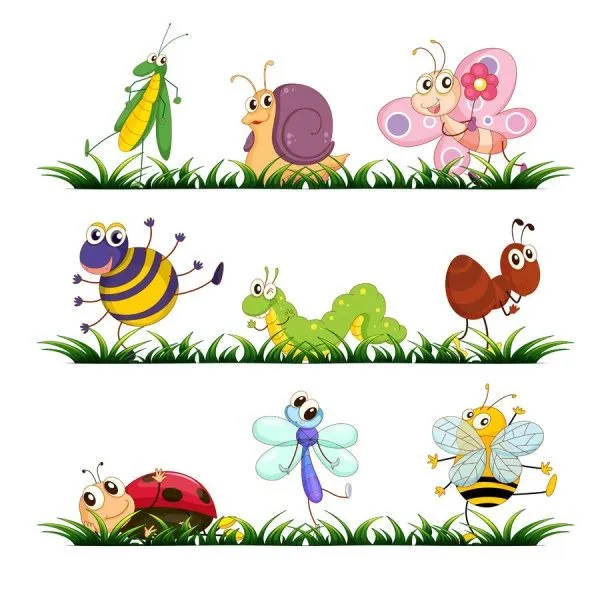 Divertidos vectores de insectos en dibujo animado - recursos WEB & SEO