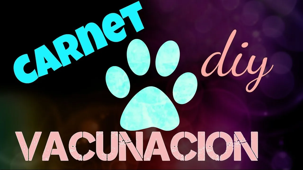DIY CARNET DE VACUNACION MASCOTAS / VACUNAS PARA CACHORRO | ANIMALTIME -  YouTube