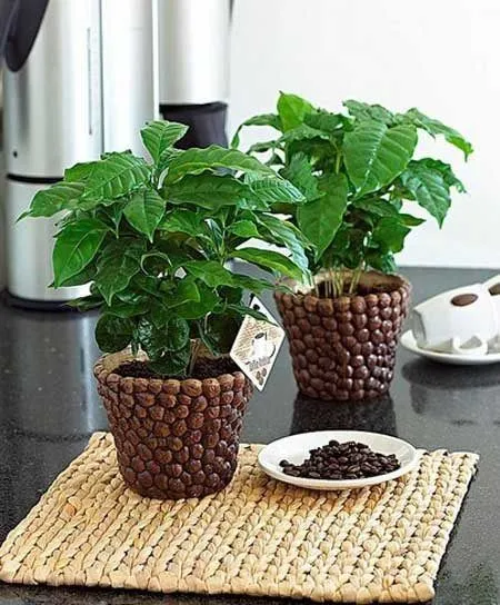 DIY. Ideas para decorar con granos de café. | Mil Ideas de Decoración