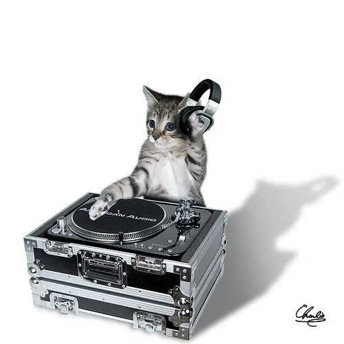 Imagenes de Gatos MUy Buenas! XD - Taringa! Imagenes de Gatos MUy Buenas! XD - Taringa!