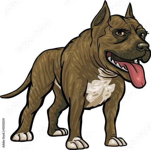 Dog Breeds: Pitbull" Imágenes de archivo y vectores libres de ...