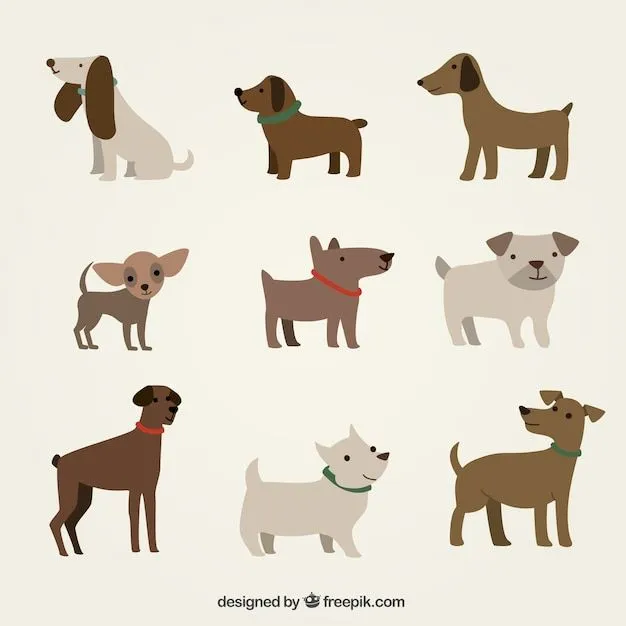 Dog Vectors, Photos and PSD files | Free Download