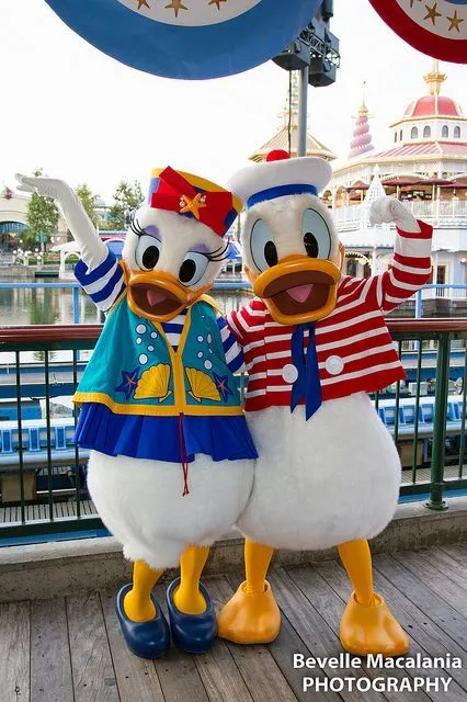 Donald & Daisy Duck | Disney | Pinterest | Margaritas y Patos