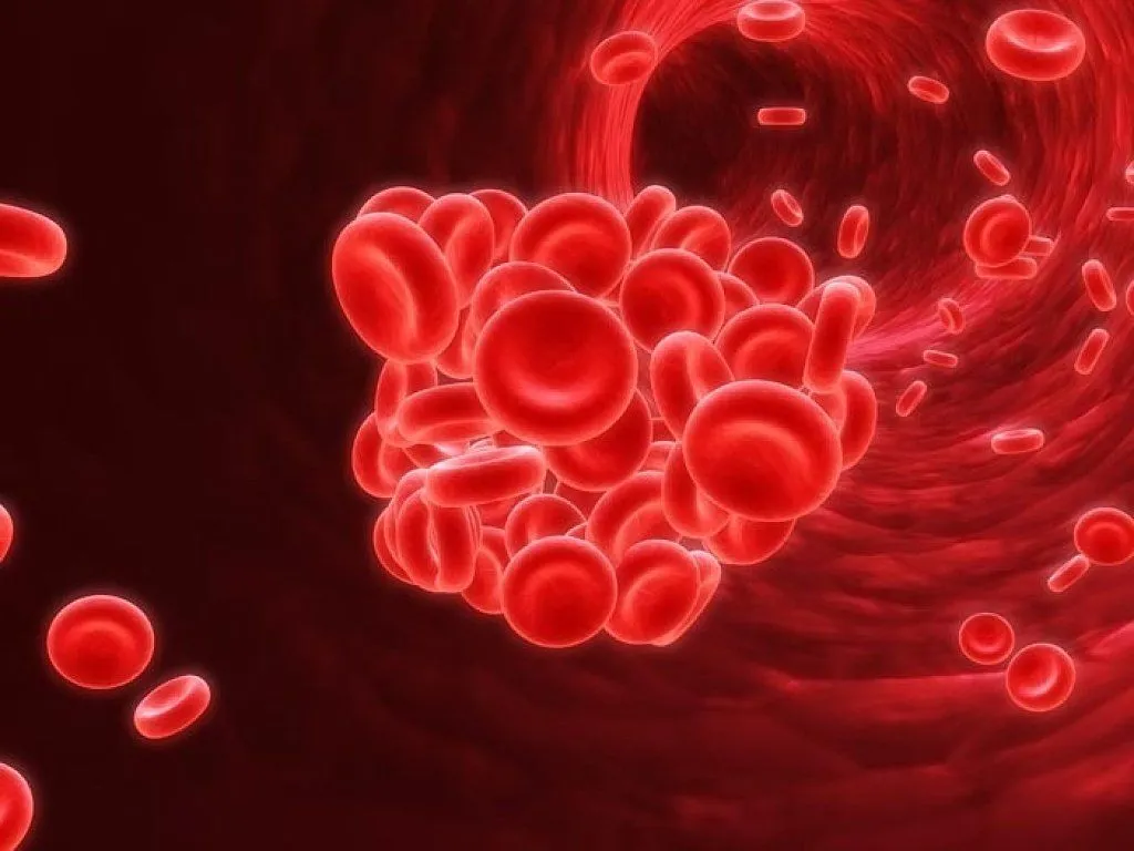 donar sangre | Sentirse bien es facilisimo. donar sangre | Sentirse bien es facilisimo.