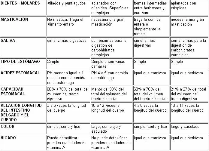 Lista de animales carnivoros herbivoros y omnivoros - Imagui Lista de animales carnivoros herbivoros y omnivoros - Imagui