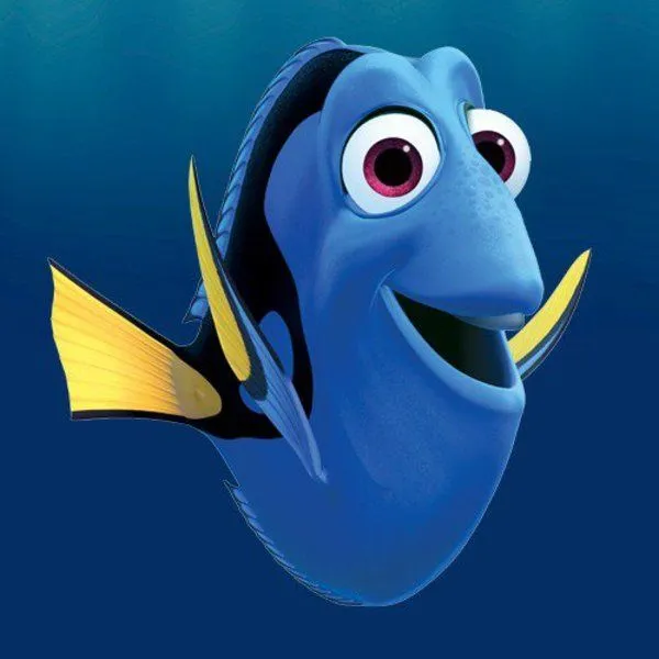 Dory | Know Your Meme
