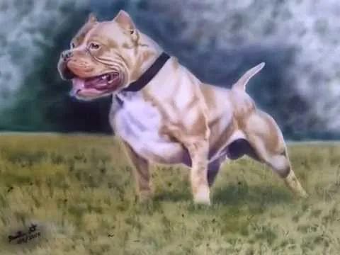 Download Video Dibujo De Pitbull Terrier 3GP MP4 Streaming