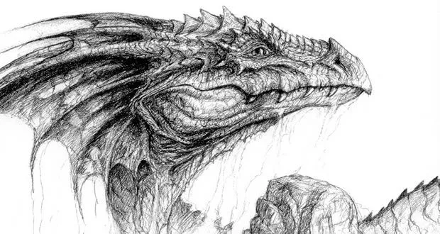 Dragon Boceto. (Hermoso ) by BattleGuyArtGamer on DeviantArt