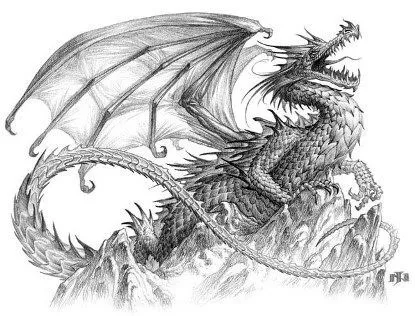 Dragon2.jpg (415×316) | DIBUJO | Pinterest | Amy Brown, Dibujo and ...