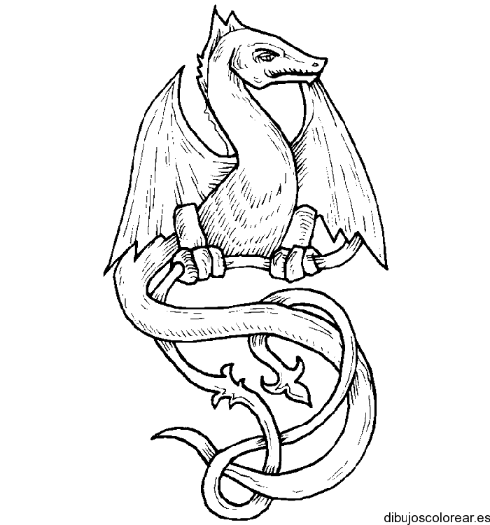 Dragones | Dibujos para Colorear