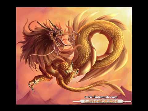 dragones reales o fantasia ?(tercera parte) - YouTube