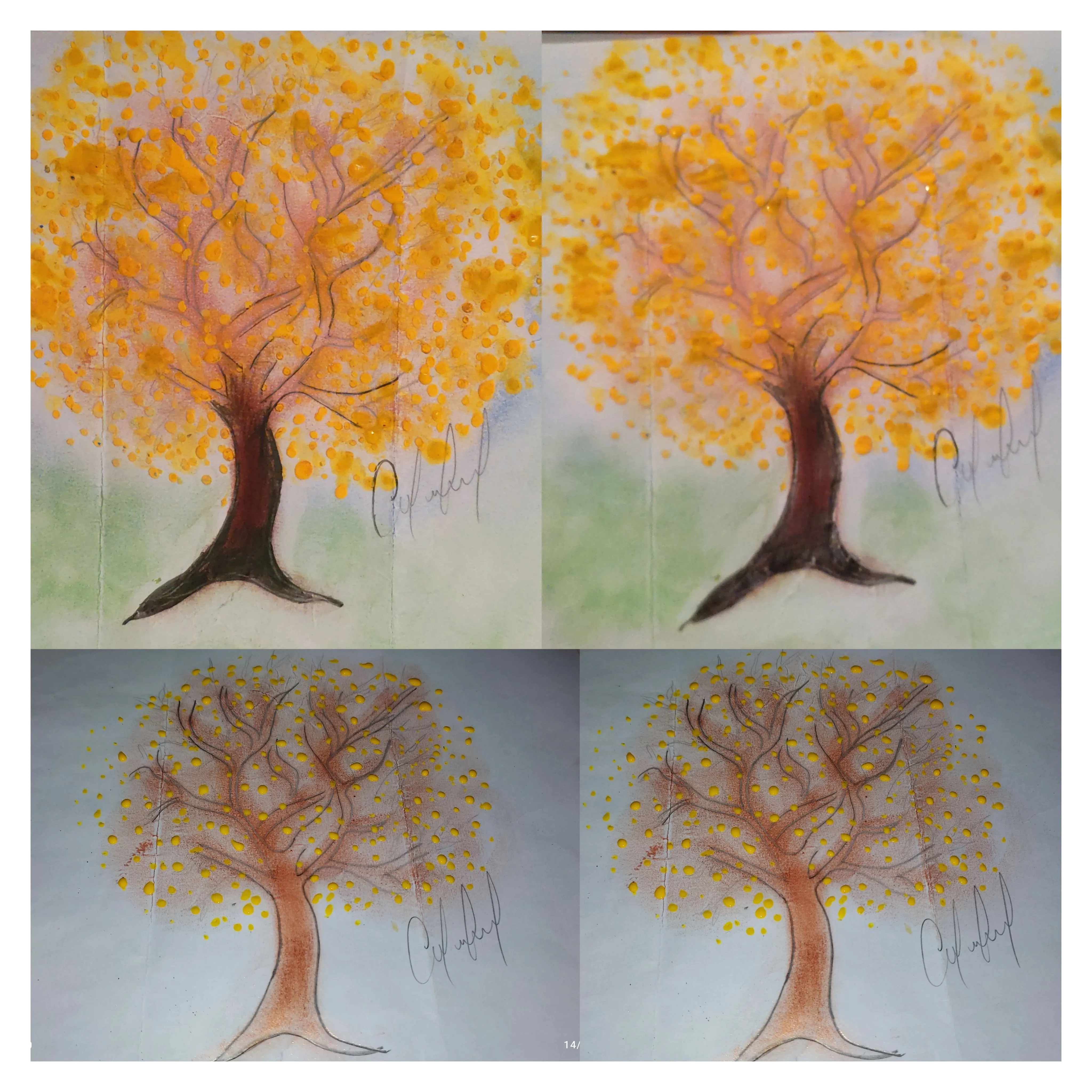 Drawing Araguaney tree/ Dibujando árbol Araguaney — Hive