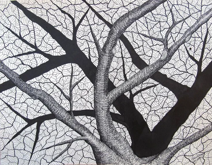 Drawing - Trees / Dibujos - Árboles on Pinterest | China ...