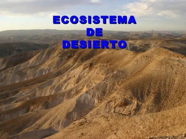 Ecosistema del desierto por Alazne