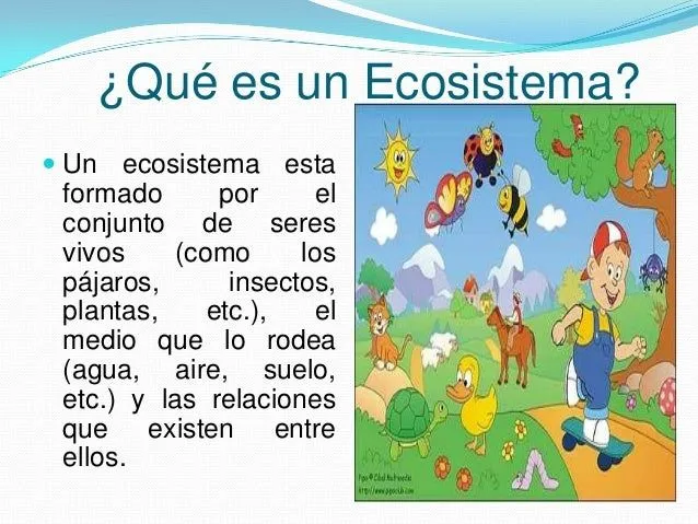ecosistema-yaz-y-lupita-2-638. ...